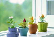 Trang trí nhà màu sắc theo ngũ hành 20