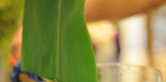 Cách cắm hoa ngày Tết đơn giản đón năm mới bình an