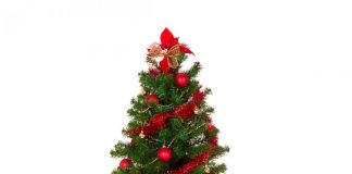 Kinh nghiệm thuê cây thông Noel - 1