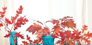 Cách trang trí nhà ấm áp khi mùa thu đến - 1