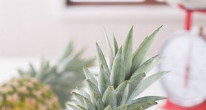 Hướng dẫn làm món thịt chiên sốt dứa - 1