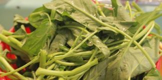rau-muong-370468-1368319878_500x0.jpg