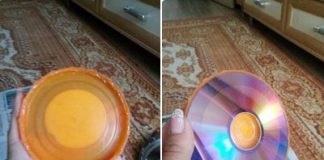 Tái chế đồ cũ thành kệ trồng cây hình con mèo độc đáo - 1