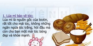 Càng khỏe càng xinh chỉ bằng thực phẩm  - 1