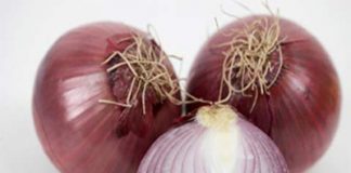 Hướng dẫn trị các bệnh với củ hành - 1