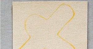 cach_lam_dep_di_trong_nha_cuc_nhanh