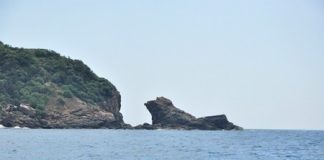 Ngắm rừng san hô tuyệt vời ở vùng biển Sơn Trà