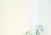 Hướng dẫn bài tập cho vòng 3 săn chắc sau sinh Hướng dẫn bài tập cho vòng 3 săn chắc sau sinh - 1