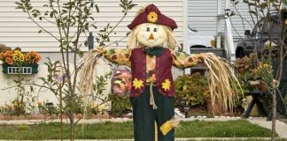 5 ý tưởng trang trí Halloween độc đáo - 2