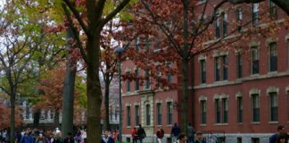 Top 10 trường Đại học hàng đầu thế giới về Y khoa