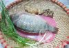Hướng dẫn làm cá hấp hành gừng thơm ngon-1
