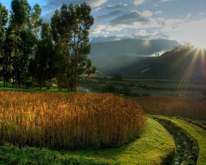 Peru: Vẻ đẹp thời tiền sử  - 4