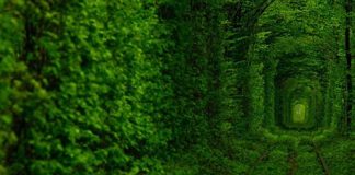 Ngỡ ngàng trước vẻ đẹp của cung đường Tình yêu