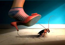 Cách giữ hoa tươi lâu – bí quyết không thể bỏ qua dịp Tết Diet-gian-triet-de-khong-can-hoa-chat-1