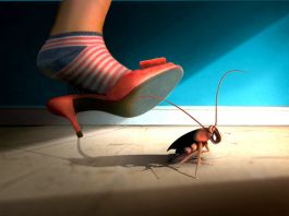 Diet-gian-triet-de-khong-can-hoa-chat-1