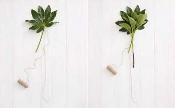 Cách cắm hoa đẹp trang trí bàn tiệc thêm tươi sắc 5