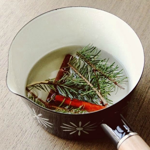 6 cách mang mùi hương của Giáng sinh vào nhà - 2