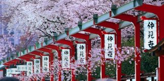 Tại sao chọn du học Châu Á? - 1