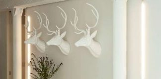 5 cách trang trí hành lang đơn giản và đẹp mắt 1