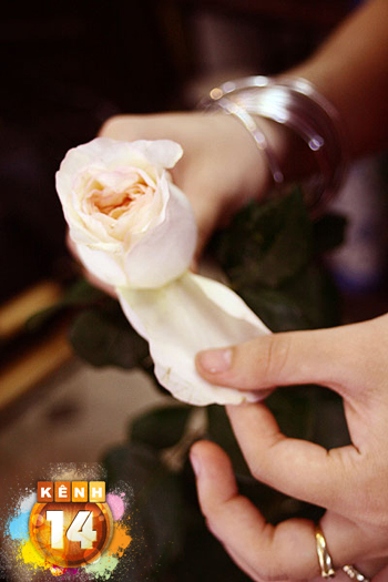 Hướng dẫn bó hoa hồng đơn giản tặng bạn bè - 10