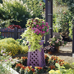 Hướng dẫn trang trí vườn cho những chậu hoa nhỏ - 4