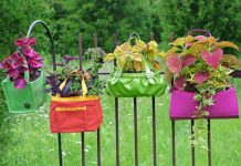 Đồ cũ thi nhau ra vườn làm đẹp - 1