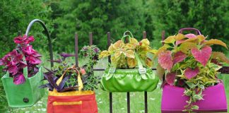 Cách làm mới sân vườn bằng đồ cũ Đồ cũ thi nhau ra vườn làm đẹp - 1