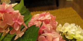 Cầu hoa xinh xắn cho phòng tươi tắn - 1