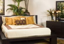 Lưu ý khi đặt cây cảnh trong phòng ngủ theo phong thủy - 1