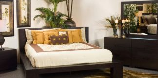 Lưu ý khi đặt cây cảnh trong phòng ngủ theo phong thủy - 1