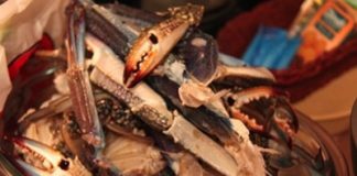 cách-làm-cua-rang-ớt-kiểu-singapore-hấp-dẫn-bữa-cơm-ngày-nắng-1