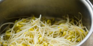 Cách làm salad giá đỗ thanh mát cho ngày nắng nóng 1