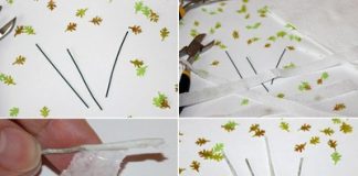 Làm chậu cây mini mang đậm phong cách mùa thu 1