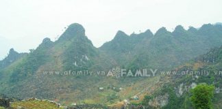 Tuyệt đẹp cao nguyên đá Hà Giang mùa tam giác mạch - 1