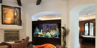 7 vị trí đặt bể cá theo phong thủy tuyệt vời nhất trong nhà 1