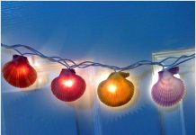 8 cách trang trí nhà bằng vỏ sò từ biển cả - 1