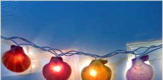 8 cách trang trí nhà bằng vỏ sò từ biển cả - 1