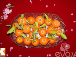 Tự chế nước rửa bát từ quất Tết vừa an toàn lại tiết kiệm 1