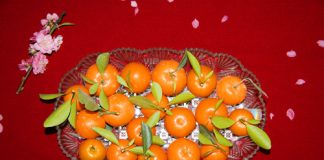 Tự chế nước rửa bát từ quất Tết vừa an toàn lại tiết kiệm 1