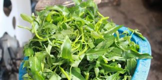 đổi-món-bữa-trưa-với-rau-muống-trộn-giòn-ngon-1