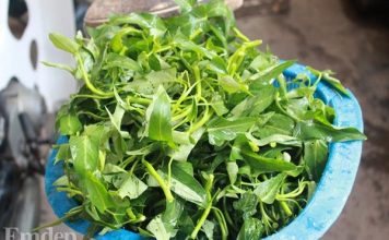 đổi-món-bữa-trưa-với-rau-muống-trộn-giòn-ngon-1