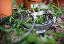 Cách làm vườn treo trong nhà tận dụng palett chở hàng - 1