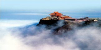 Ghé thăm quê hương loài gấu trúc