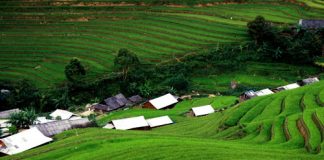  Ngắm 'nấc thang lên thiên đường' ở Mù Cang Chải - 1