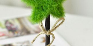 Nhung-phụ-kien-trang-tri-phong-khach-gia-tu-10000-dong-1