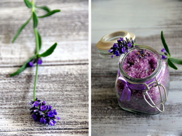 Tìm hiểu ý nghĩa của hoa oải hương - hoa Lavender - 6