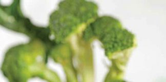 Ốc nhồi thịt hấp bông cải - 1