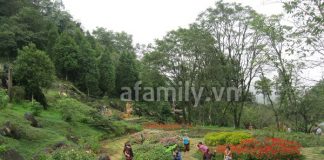 Những điểm du lịch honey moon 