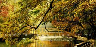 Thu sắc màu trên khắp mảnh đất Trung Quốc - 1