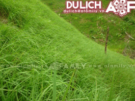 Phượt về Đông Giang, Quảng Nam - 1